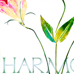 harmony